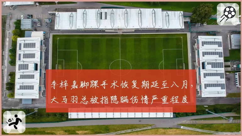 李梓嘉脚踝手术恢复期延至八月,大马羽总被指隐瞒伤情严重程度