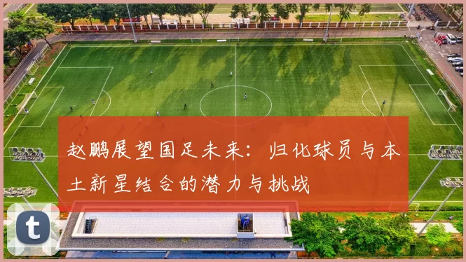 赵鹏展望国足未来:归化球员与本土新星结合的潜力与挑战