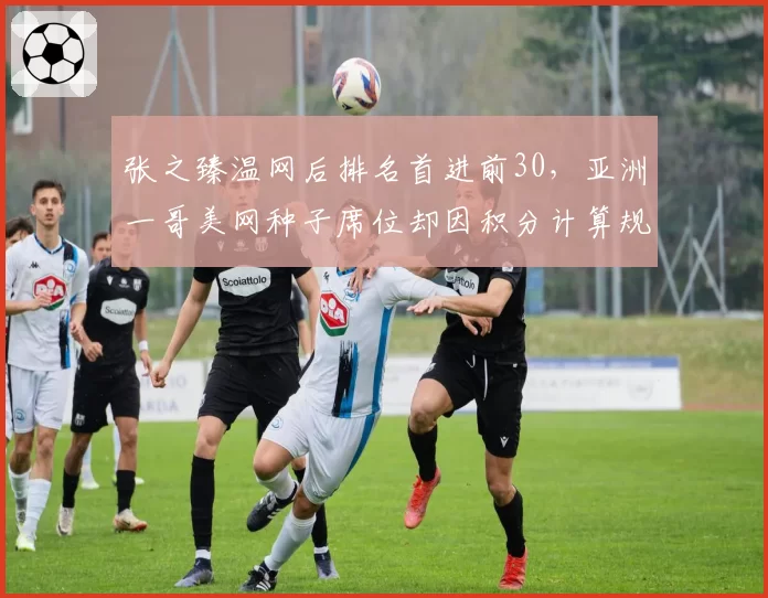 张之臻温网后排名首进前30,亚洲一哥美网种子席位却因积分计算规则被剥夺引争议