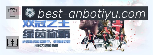 赵鹏展望国足未来:归化球员与本土新星结合的潜力与挑战